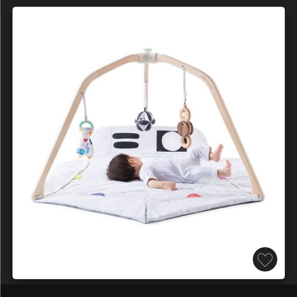 Toys Used Lovevery Play Mat All Toys And Covers Included New Black